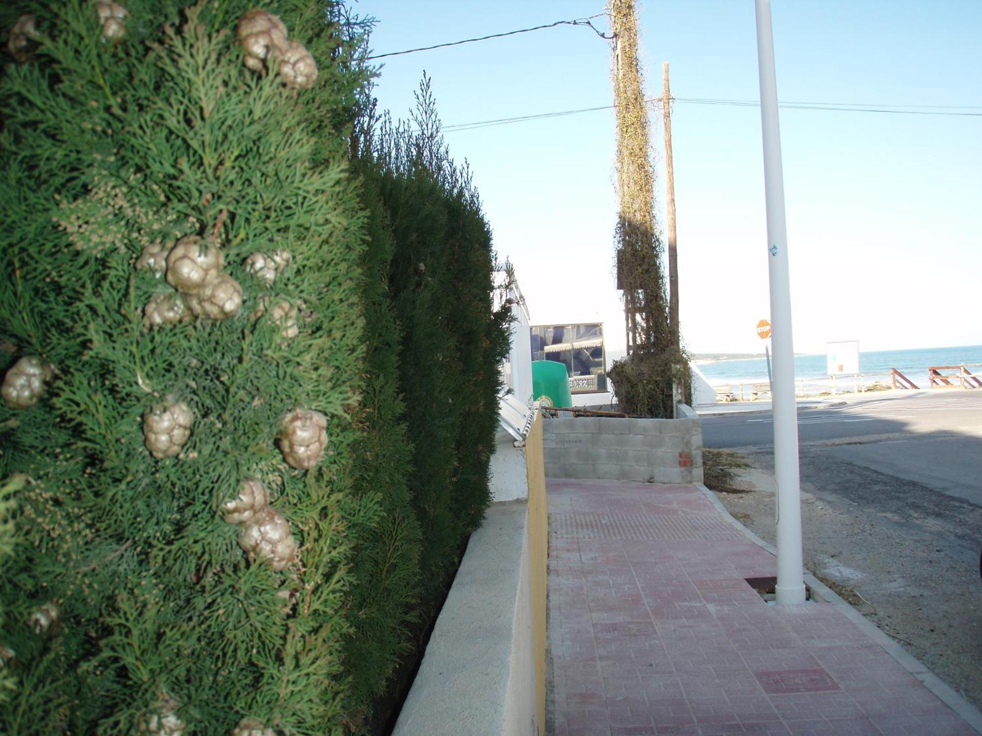 Appartement Canaret Punta Canaret Marineu Playa Romana Alcossebre